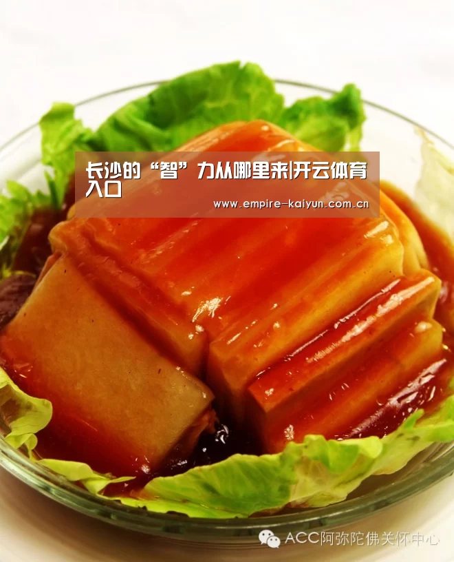 长沙的“智”力从哪里来|开云体育入口(图2) 开云体育平台服务