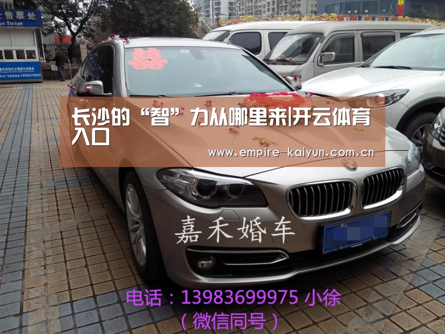 长沙的“智”力从哪里来|开云体育入口(图1) 开云体育入口