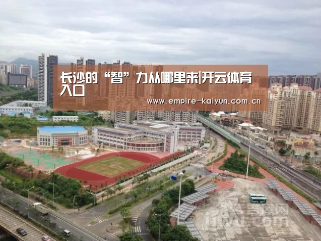 长沙的“智”力从哪里来|开云体育入口(图3) 开云平台