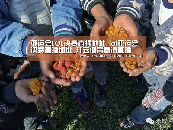 亚运会LOL决赛直播地址 lol亚运会决赛直播地址_开云体育高清直播(图1) 开云体育入口