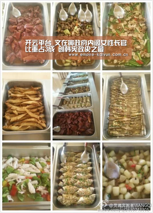 开云体育高清直播
