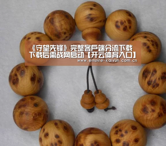 《守望先锋》完整客户端分流下载 下载后需战网启动【开云体育入口】(图2) 开云体育入口
