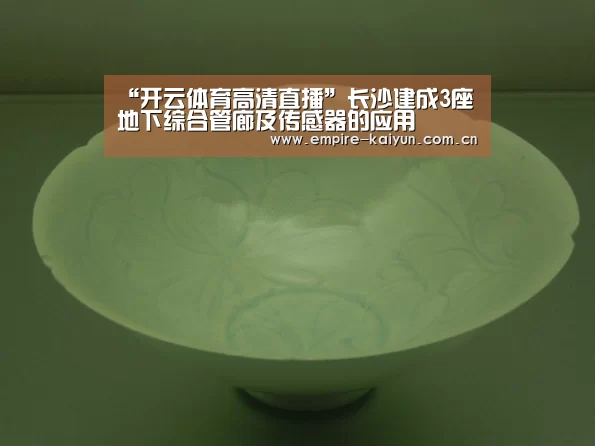 “开云体育高清直播”长沙建成3座地下综合管廊及传感器的应用(图2) 开云体育平台服务